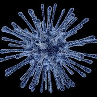 Amazon y otros gigantes del comercio empiezan a verse afectados por el Coronavirus