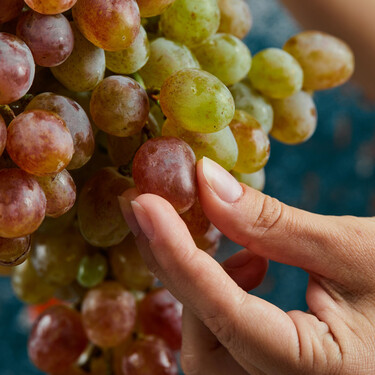 Arrasa en redes y es recargable: el cacharro capaz de pelar desde uvas hasta ajos en pocos segundos