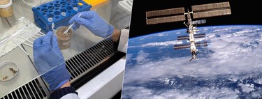 Llevamos años preguntándonos qué comeremos en el espacio. Ahora ya sabemos que como mínimo miso