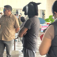 En México un joven que se identifica como caballo lleva al Congreso de Nuevo León la “Ley Therian” para frenar el bullying 