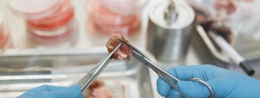La carne de laboratorio podría ser el futuro de la comida, pero lo será antes de la medicina: sirve para reconstruir partes dañadas