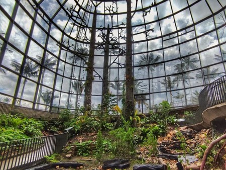 Jardin Botanico 2