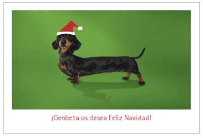 Felicita estas Navidades con Snailer