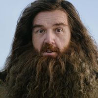 Nick Frost se ha inspirado en Robbie Coltrane para interpretar a Hagrid, pero advierte: "A algunas personas no les gustará" 