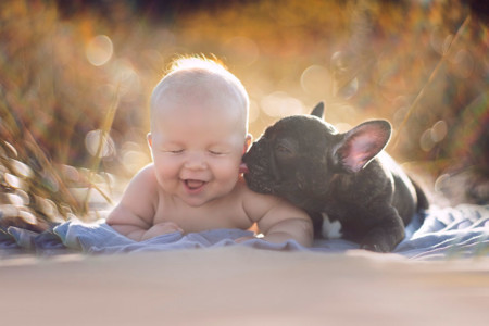 La preciosa historia de un bebé y un perro que nacieron el mismo día y creen ser hermanos