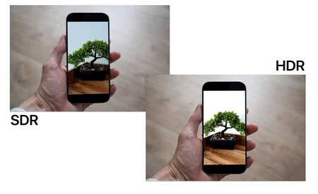 Foto 2 Foto 2