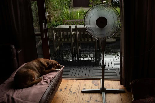 Ventilador de pie