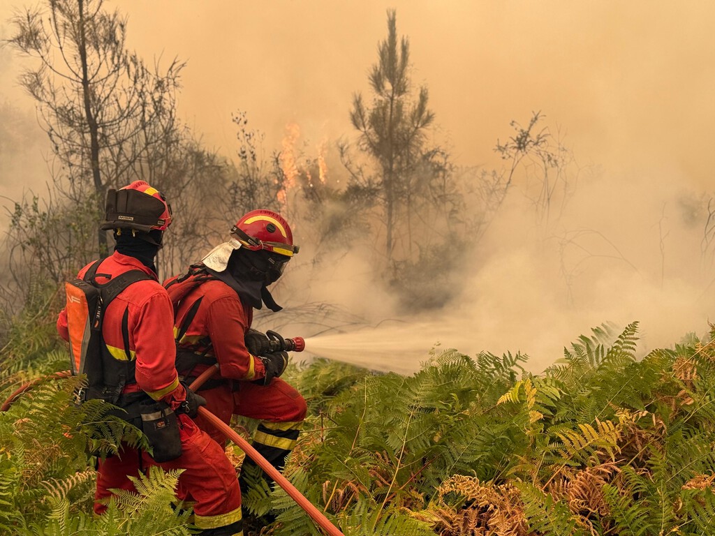 La gran polémica de los incendios en España es si la ley prohíbe "limpiar el monte". Y la respuesta es muy sencilla