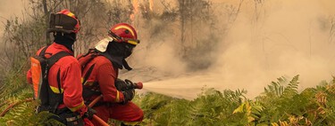 La gran polémica de los incendios en España es si la ley prohíbe "limpiar el monte". Y la respuesta es muy sencilla