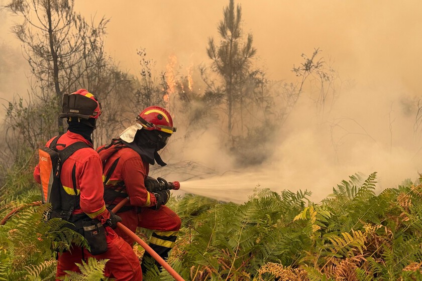 La ola de incendios ha reavivado una vieja polémica en España: puede o no puede limpiarse el monte