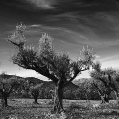 Foto 9 de 10 de la galería fotografos-como-tu-hugo-rodriguez en Xataka Foto