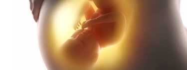 El feto transmite su microbioma a la madre: podría mejorar el sistema inmune del prematuro en embarazos de alto riesgo