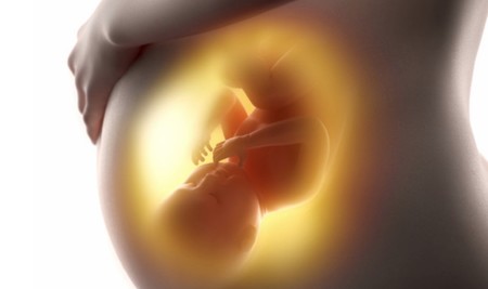 El feto transmite su microbioma a la madre: podría mejorar el sistema inmune del prematuro en embarazos de alto riesgo
