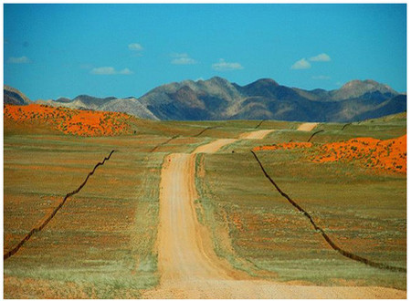 Compañeros de ruta (VI)