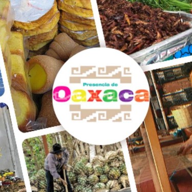 Del 29 de agosto al 14 de septiembre Oaxaca llega a CDMX: artesanías y gastronomía en Galerías Plaza las Estrellas