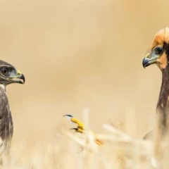 Foto 4 de 6 de la galería de-15-a-17-anos en Xataka Foto