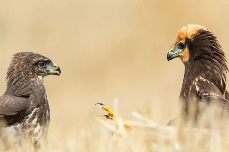 Foto de De 15 a 17 años (4/6)