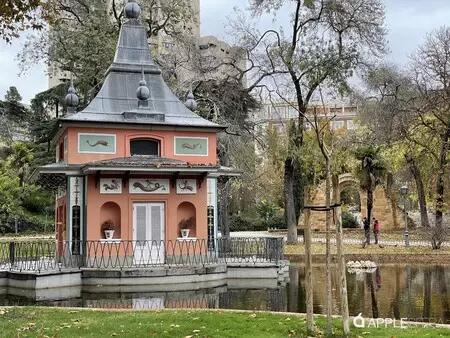 iPhone 12 Pro Maxと2.5倍ズームで撮影した写真。