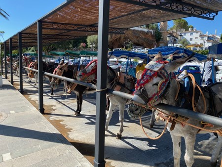 Actividades en la Costa del sol: un paseo en burro-taxi en Mijas