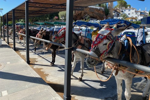 Actividades en la Costa del sol: un paseo en burro-taxi en Mijas