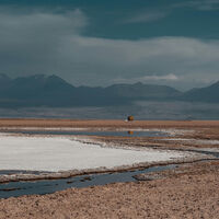 Chile tenía que elegir entre convertir al litio en su "nuevo sueldo" y proteger los salares. Y su elección es cada vez más clara