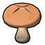 Button Shroom