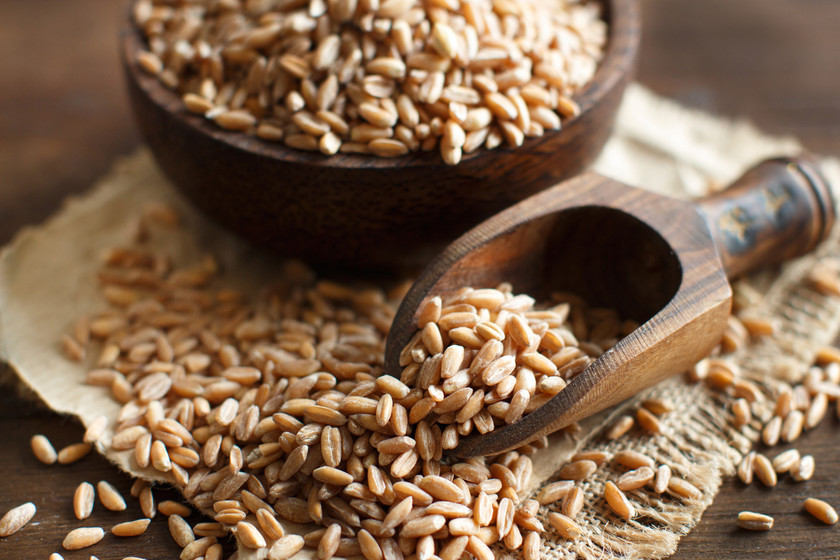 Farro un cereal antiguo con nutrientes similares a los de la quinoa