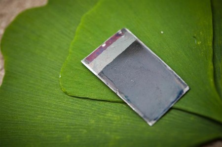 Esta 'hoja biónica' forma abono para su planta