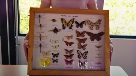 Lanzate A Conocer La Casa Colibri Para Hacer El Tour Gratuito Te Decimos Donde