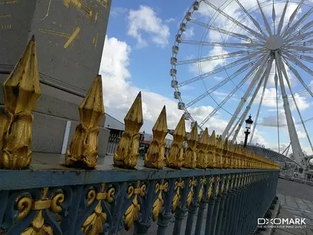 P10 ドクソマーク