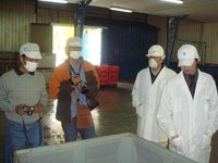 Inspecciones de trabajo: funciones de la inspección