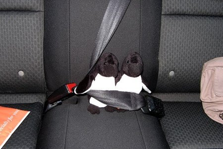 Cinturón de seguridad