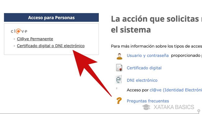 Ayuda de 480 euros del SEPE para mayores de 52 años: cómo pedir online ...
