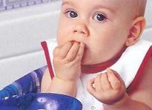 Introducir la carne en la dieta del bebé