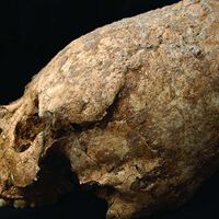 Hemos encontrado un cráneo de hace 6.200 años con forma de cono y signos de violencia. La gran pregunta es qué hacía ahí 