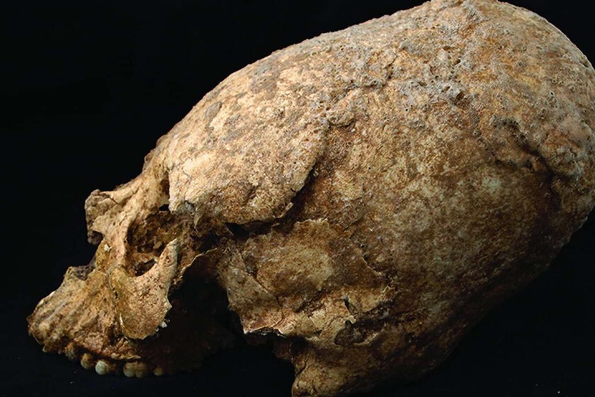 Hemos encontrado un cráneo de hace 6.200 años con forma de cono y signos de violencia. La gran pregunta es qué hacía ahí