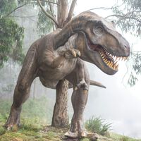 Pensávamos que eram maduros, mas na verdade eram adolescentes: tiranossauro rex precisaria de 40 anos para atingir a idade adulta, segundo pesquisadores