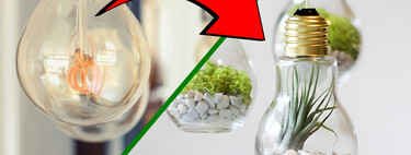 No tires tus focos viejos: 7 ideas creativas para darles una segunda vida