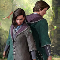 Explorar Hogwarts con un amigo en cooperativo será posible, pero tiene truco: hay que pasar por caja