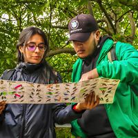 Conoce Bogotá de una manera diferente durante las vacaciones de mitad de año con estas caminatas ecológicas 