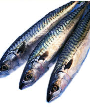 Elegir bien en la pescadería