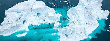 Un científico mexicano halló en el Atlántico Norte una nueva familia de criaturas que cambia lo que sabíamos del océano