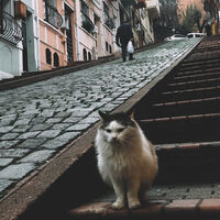 Cuesta fiscal de enero, estas son todas las obligaciones que tienen que cumplir las empresas en el mes más complicado del año 