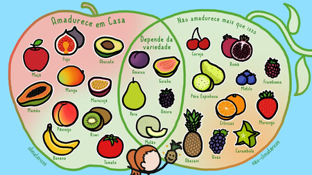 infográfico de futas que amadurecem ou não fora do pé