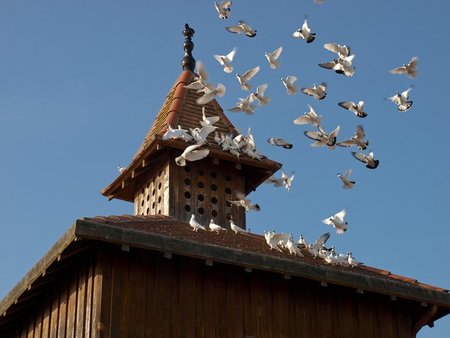Francia: Ruta por los palomares del Tarn