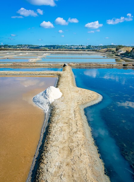 Salinas De Guérande