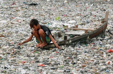 Destrucción del Medio Ambiente en estado puro