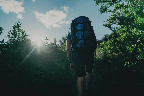 Martin Wyall P9pinbyhsag Unsplash