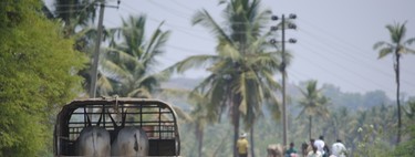 India, donde no deberías esperar ayuda de nadie si sufres un accidente de tráfico (y esta es la razón)