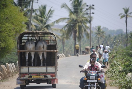 India, donde no deberías esperar ayuda de nadie si sufres un accidente de tráfico (y esta es la razón)